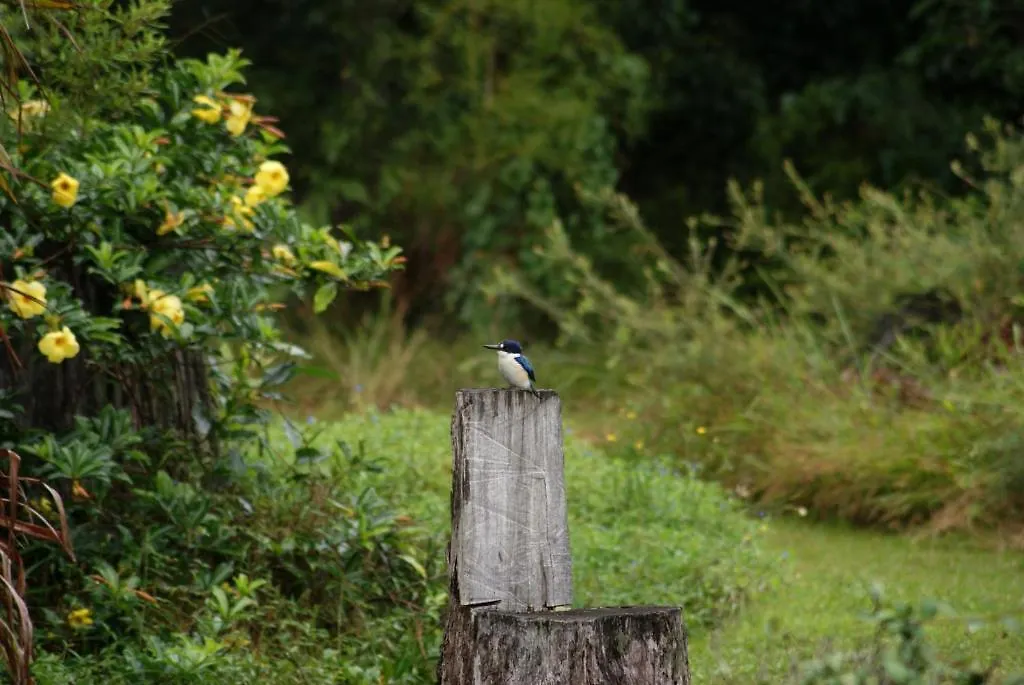 Kingfishers Manor Bed & Breakfast Doonan